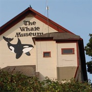 The Whale Museum (Friday Harbor)