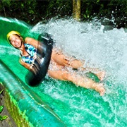 Ride on a Jungle Water Slide