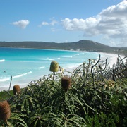 Lucky Bay, Cape Le Grand National Park