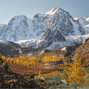 Altai Mountains