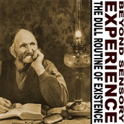 Beyond Sensory Experience - The Dull Routine of Existence