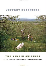 Michigan: The Virgin Suicides (Jeffrey Eugenides)