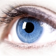 Women's Eye Health and Safety Month (April)