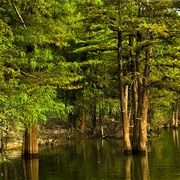 Moro Bay State Park, Arkansas