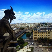 Climb the Notre Dame Bell Tower