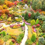 The Garden of Morning Calm