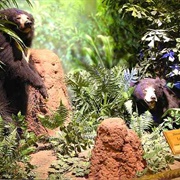 The Museum at Rolling Hills Zoo