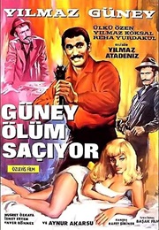 Güney Ölüm Saçiyor (1969)