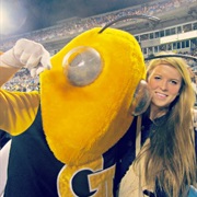 Graduate College With a Perfect GPA