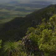 Mount Ossa National Park (QLD)