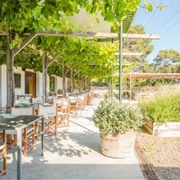 Bodegas Binifadet, Menorca