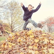 Jump in a Pile of Leaves