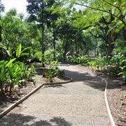 Joaquin Antonio Uribe Botanical Garden