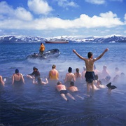 Penguins and Hotsprings on Deception Island, Antarctica