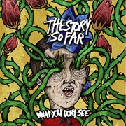 The Story So Far- What You Don't See