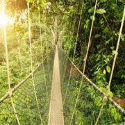 Taman Negara, Malaysia
