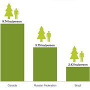 One Tenth of the World's Forests Are Found in Canada