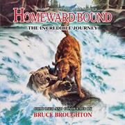 Homeward Bound Soundtrack