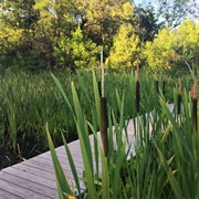 Schlitz Audubon Nature Center