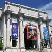Gawk at Dinos at American Museum of Natural History