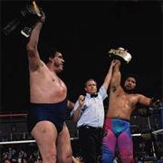 Andre the Giant & Haku