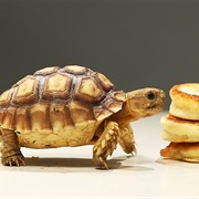 Have Brunch and Take Your Time