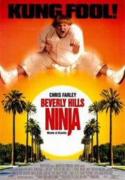 Beverly Hill Ninja