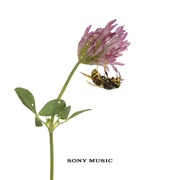 Harmony Hall - Vampire Weekend