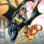 Nightwing & Flamebird