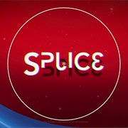 Splice
