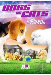 Dogs vs. Cats (2010)
