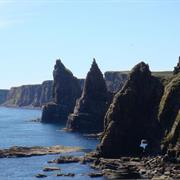 Duncansby Head