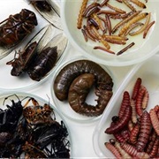 Cooked Bugs