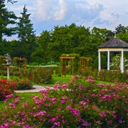 Allentown Rose Garden, Pennsylvania