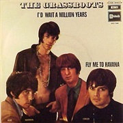 I'd Wait a Million Years - The Grassroots