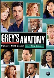 Grey's Anatomy Season 9 (2011)