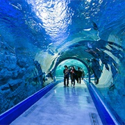 Aqua Planet Jeju, South Korea