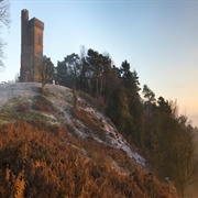 Leith Hill Tower and Countryside (NT)