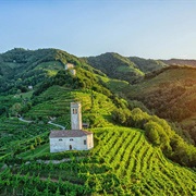 Walking the Prosecco Hills