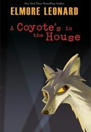 A Coyote&#39;s in the House