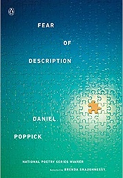 Fear of Description (Daniel Poppick)