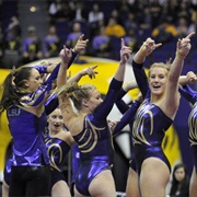 NCAA Women's Gymnastics