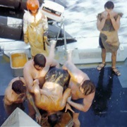 Navy Line Crossing Ceremony - Pollywog to Shellback