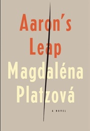 Aaron&#39;s Leap (Magdaléna Platzová)