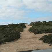 Track to Scott's Bay