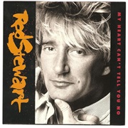 My Heart Can't Tell You No - Rod Stewart