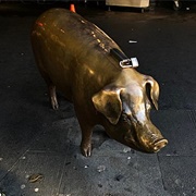 Rachel the Piggy Bank - Pike Place Market, Seattle, WA