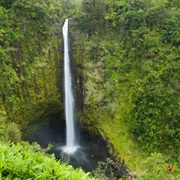 Akaka Falls, Hawai&#39;i