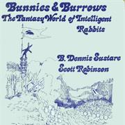Bunnies and Burrows