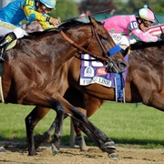 His Only Loss Was His Very First Race